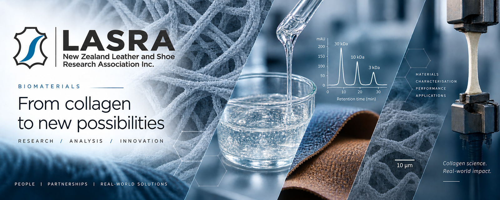 LASRA collagen and biomaterials research showing collagen structure, chromatography, material samples and mechanical testing.